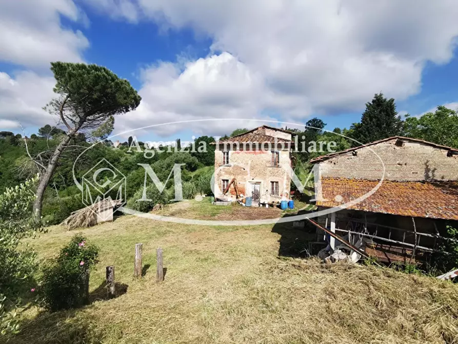 Immagine 1 di Casa colonica in vendita  a Santa Maria A Monte