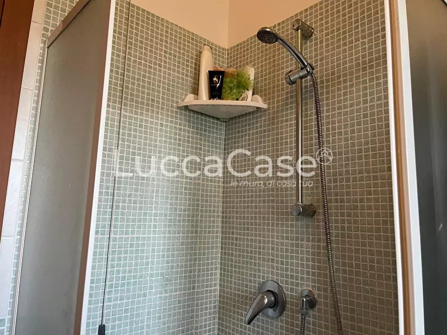 Immagine 17 di Appartamento in vendita  a Altopascio