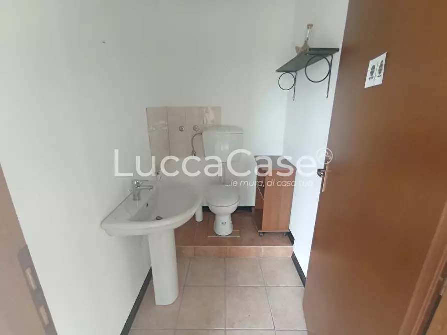 Immagine 22 di Ufficio in affitto  a Lucca