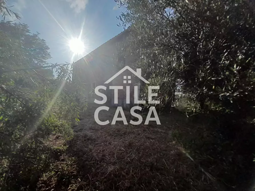 Immagine 6 di Casa indipendente in vendita  a Fucecchio