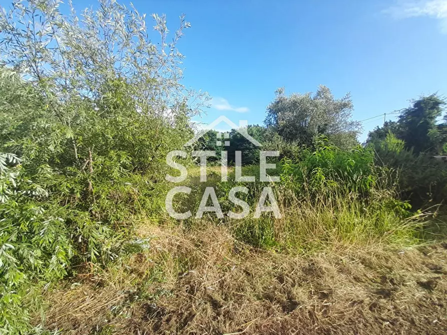 Immagine 2 di Casa indipendente in vendita  a Fucecchio