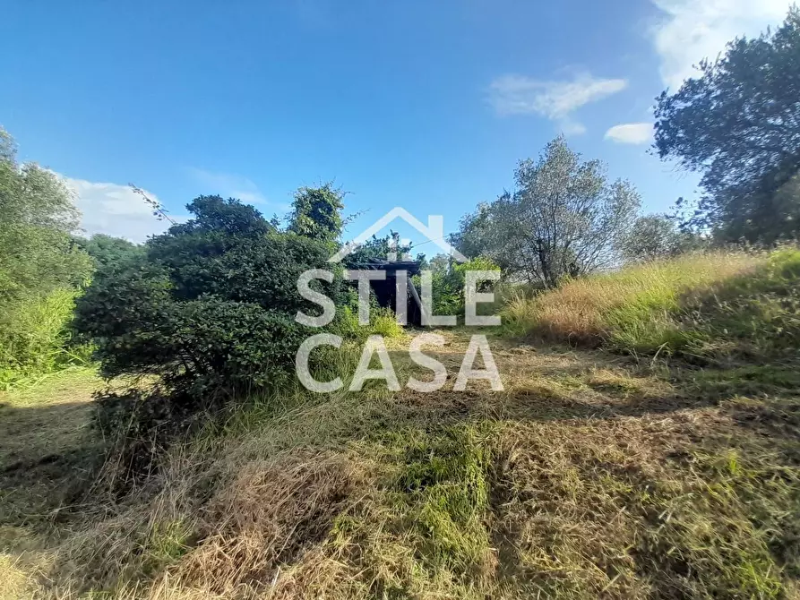 Immagine 4 di Casa indipendente in vendita  a Fucecchio