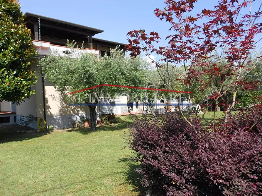 Immagine 4 di Villa in vendita  a Massa