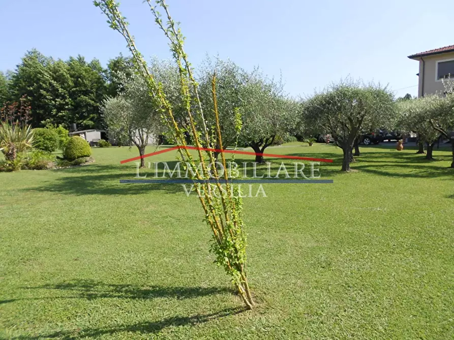 Immagine 14 di Villa in vendita  a Massa