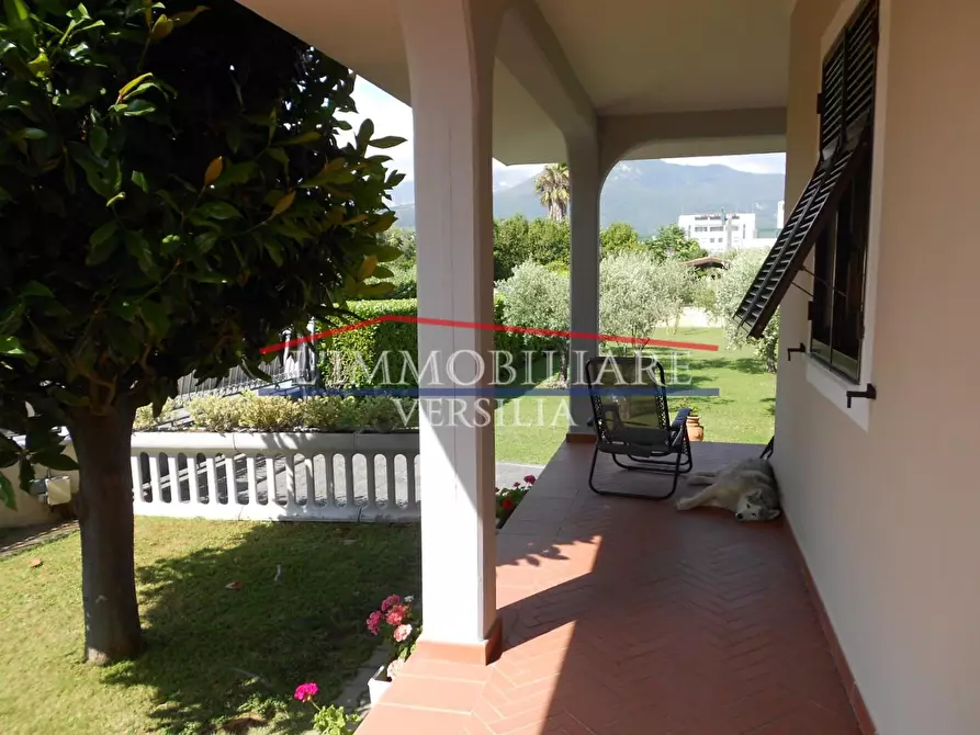 Immagine 5 di Villa in vendita  a Massa
