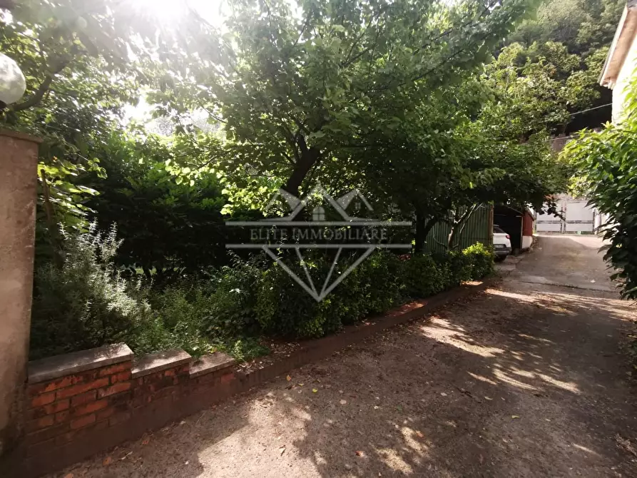 Immagine 4 di Appartamento in vendita  a Carrara