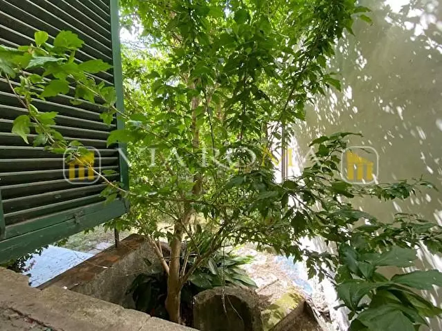 Immagine 13 di Appartamento in vendita  a Lucca