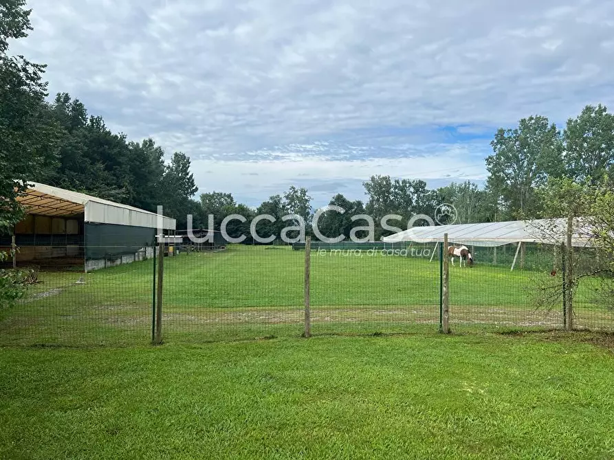 Immagine 6 di Villa in vendita  a Capannori