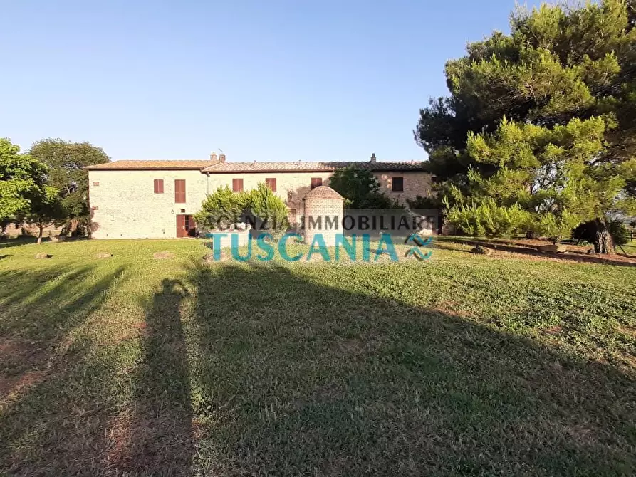 Immagine 8 di Agriturismo in vendita  a Volterra
