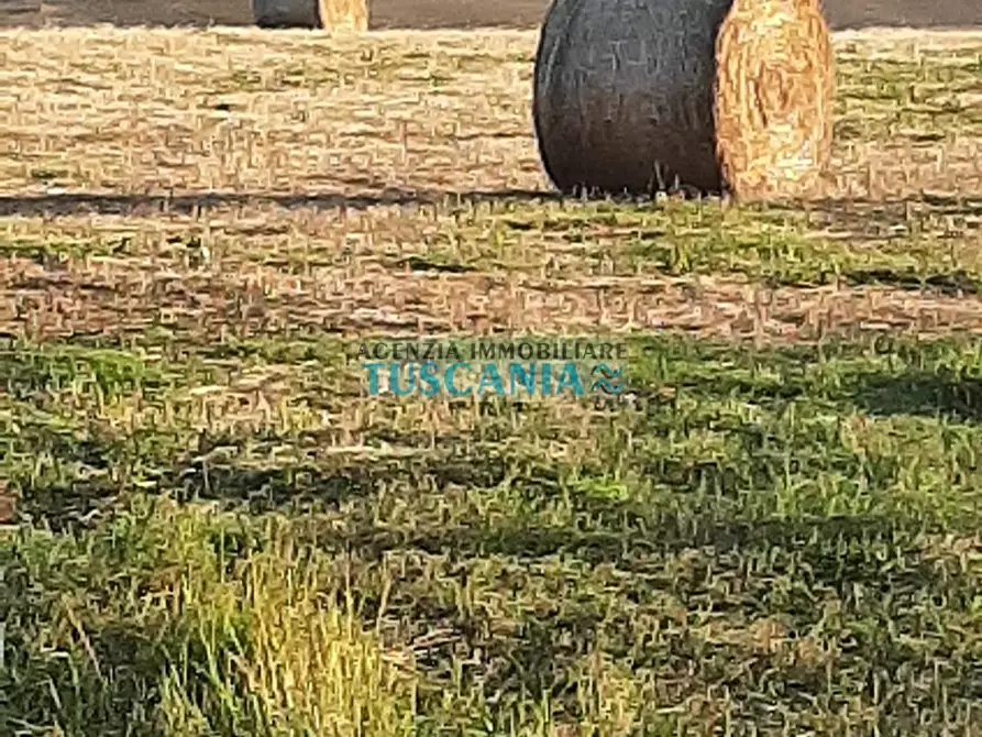 Immagine 6 di Agriturismo in vendita  a Volterra