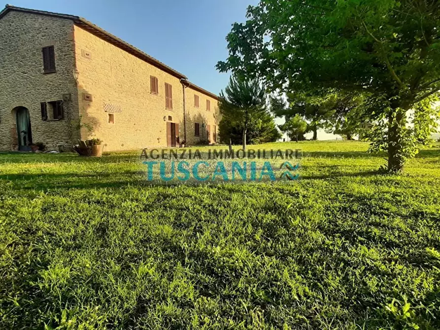 Immagine 4 di Agriturismo in vendita  a Volterra