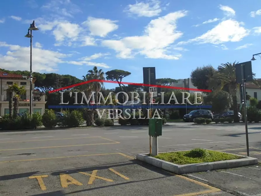 Immagine 19 di Casa bifamiliare in vendita  a Massa
