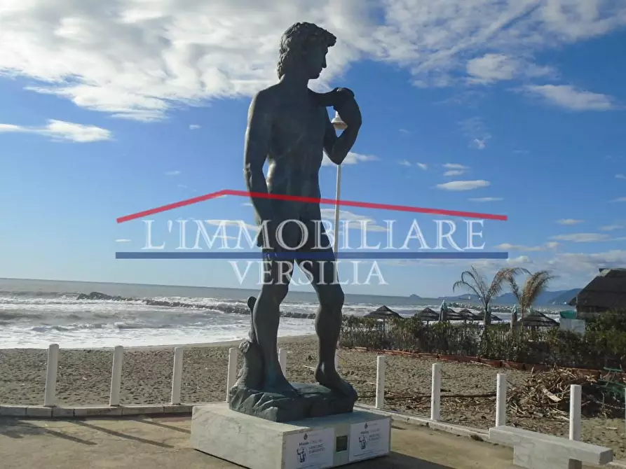 Immagine 32 di Casa bifamiliare in vendita  a Massa