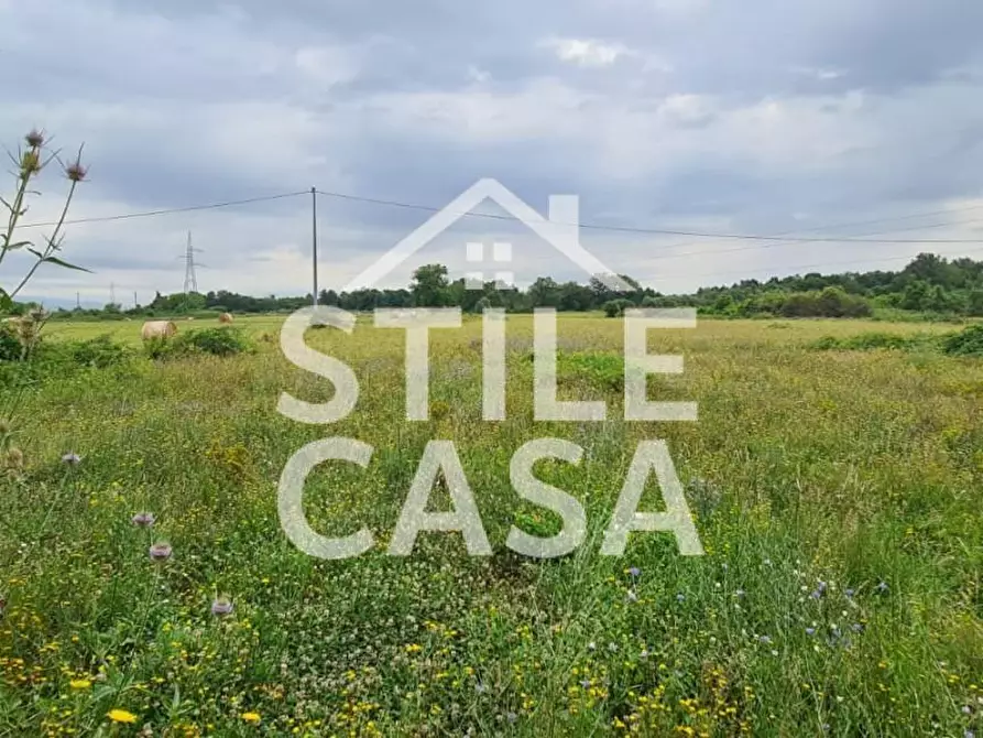 Immagine 3 di Terreno agricolo in vendita  a Castelfranco Di Sotto