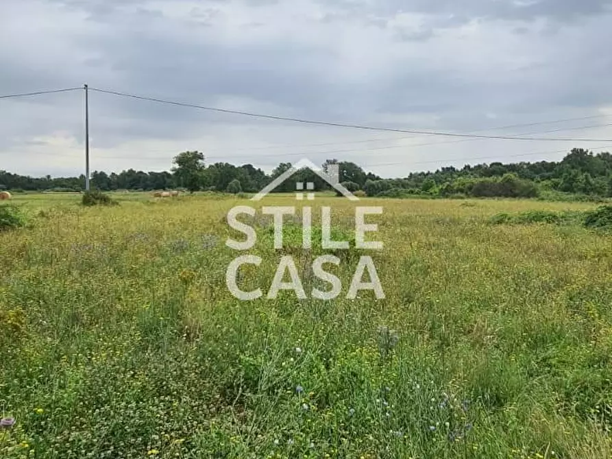 Immagine 5 di Terreno agricolo in vendita  a Castelfranco Di Sotto