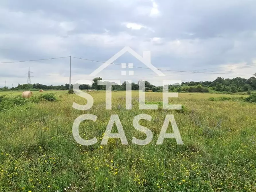 Immagine 4 di Terreno agricolo in vendita  a Castelfranco Di Sotto