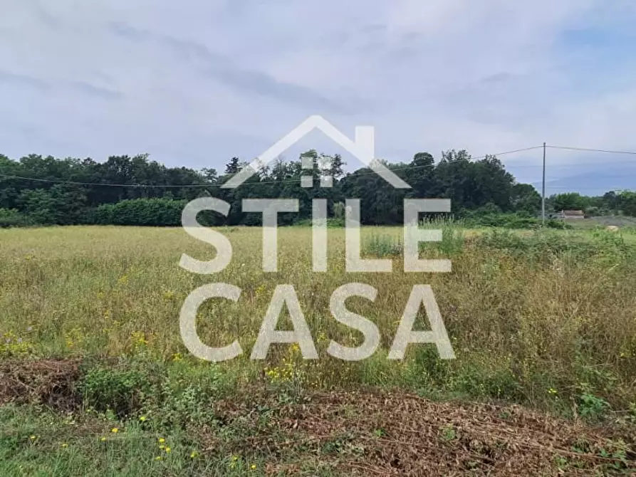 Immagine 2 di Terreno agricolo in vendita  a Castelfranco Di Sotto