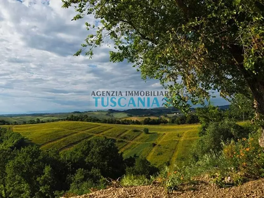 Immagine 16 di Agriturismo in vendita  a Volterra