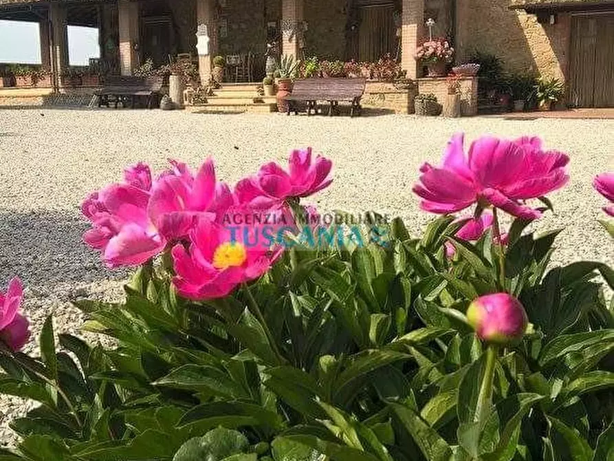 Immagine 4 di Agriturismo in vendita  a Volterra