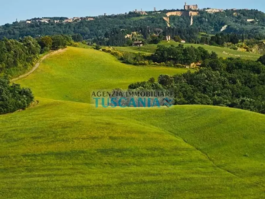 Immagine 14 di Agriturismo in vendita  a Volterra