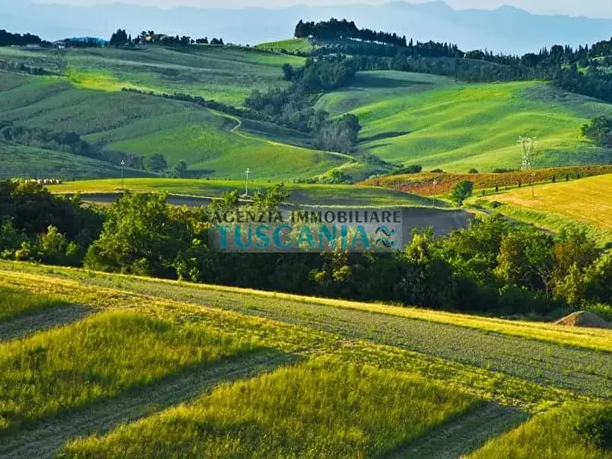 Immagine 17 di Agriturismo in vendita  a Volterra
