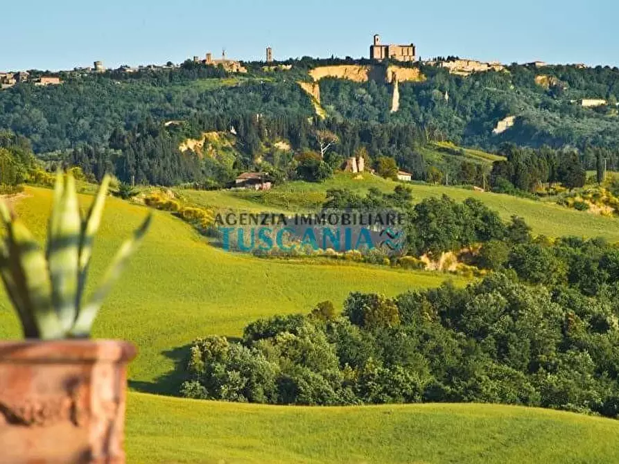 Immagine 15 di Agriturismo in vendita  a Volterra
