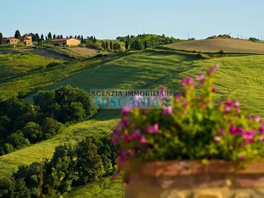 Immagine 13 di Agriturismo in vendita  a Volterra