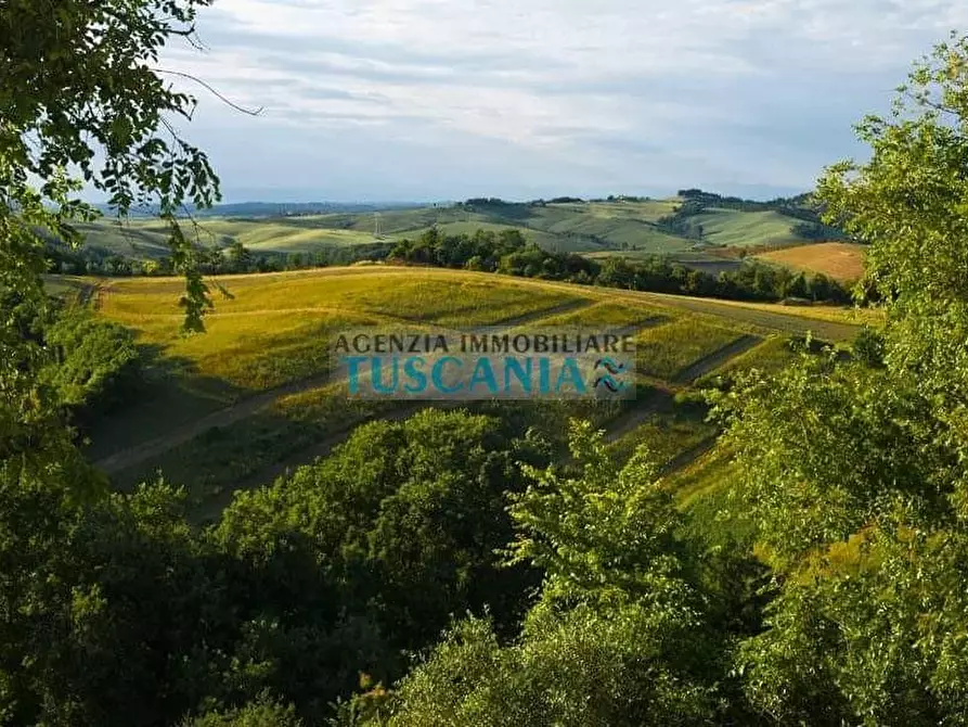 Immagine 20 di Agriturismo in vendita  a Volterra