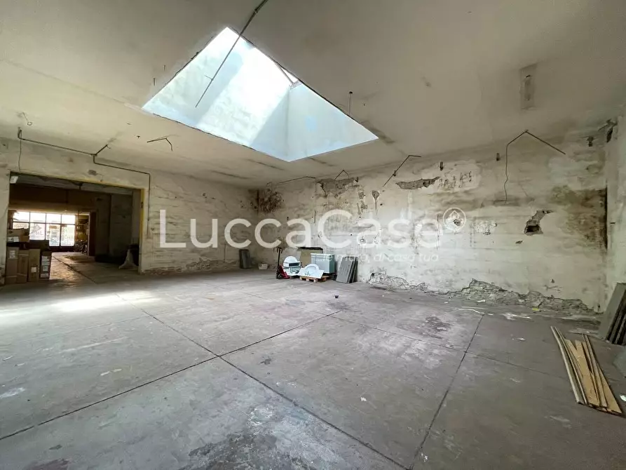 Immagine 3 di Magazzino in affitto  a Lucca