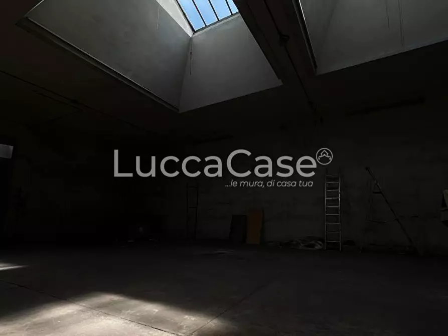 Immagine 17 di Magazzino in affitto  a Lucca