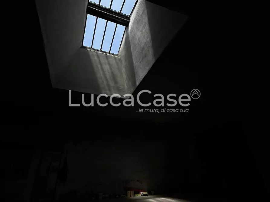 Immagine 23 di Magazzino in affitto  a Lucca