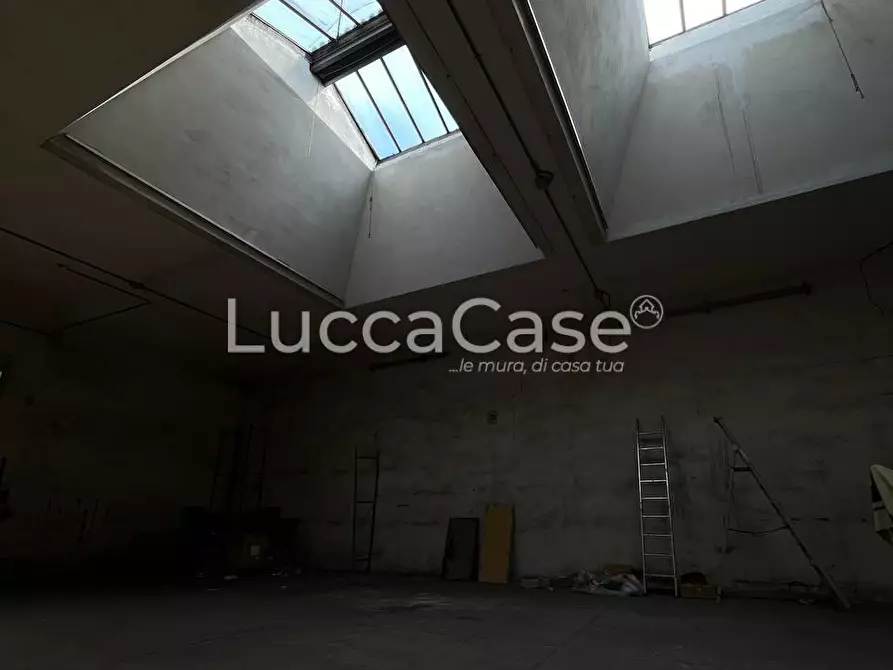 Immagine 18 di Magazzino in affitto  a Lucca