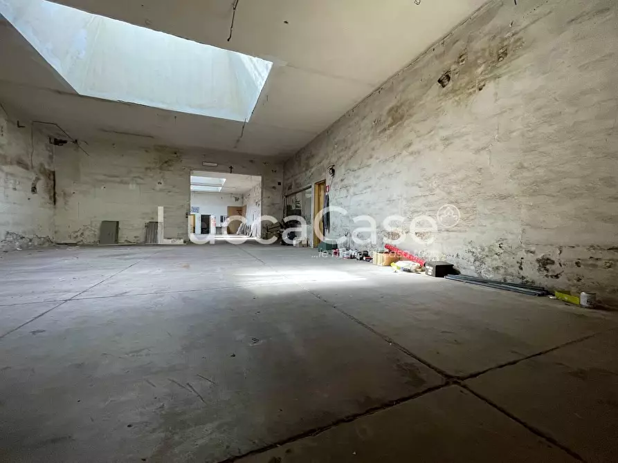 Immagine 29 di Magazzino in affitto  a Lucca