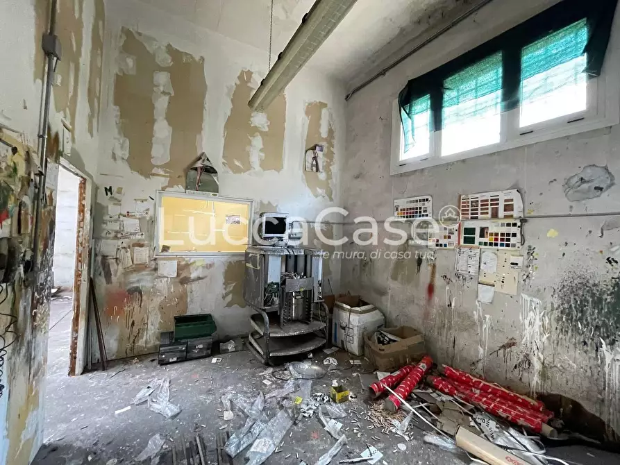 Immagine 15 di Magazzino in affitto  a Lucca