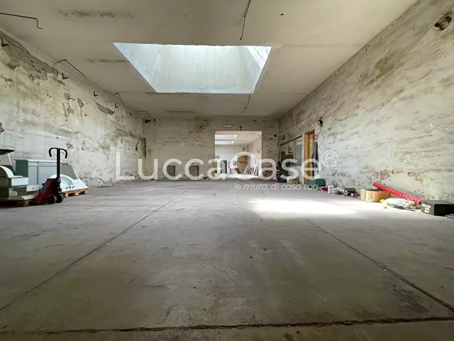 Immagine 27 di Magazzino in affitto  a Lucca
