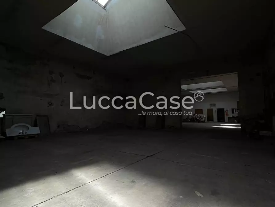 Immagine 6 di Magazzino in affitto  a Lucca