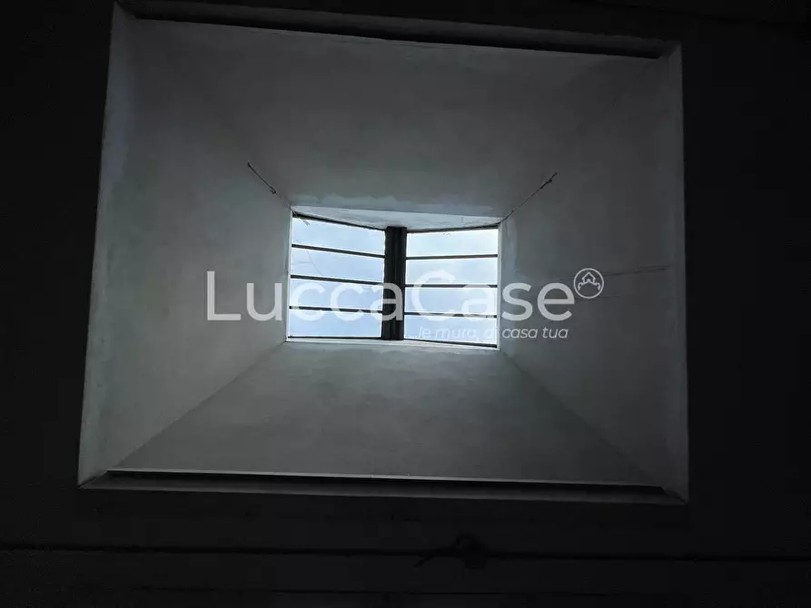 Immagine 21 di Magazzino in affitto  a Lucca