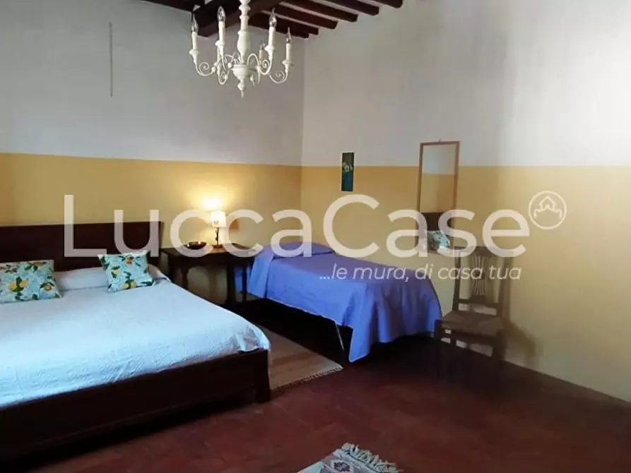 Immagine 8 di Casa colonica in vendita  a Capannori