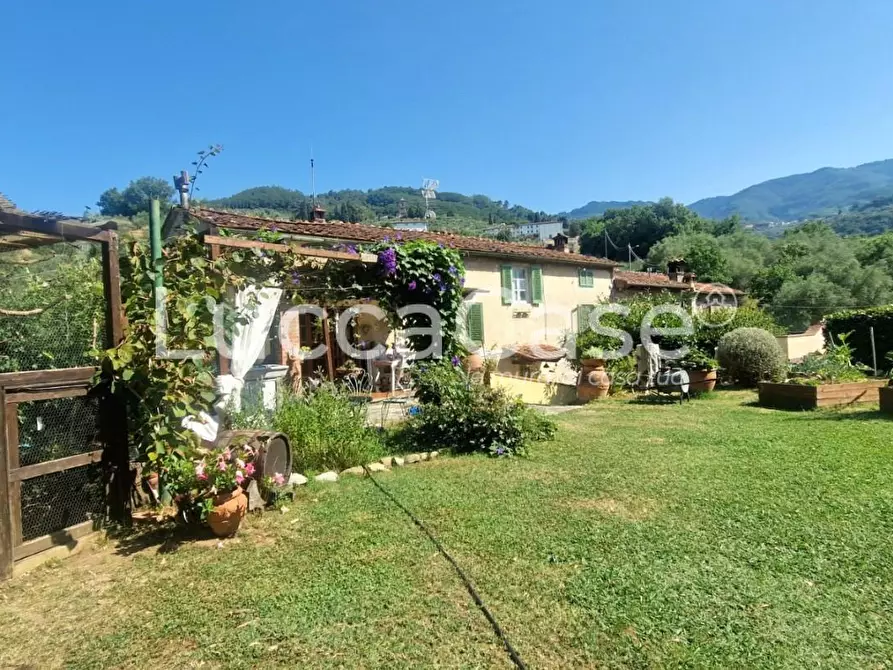 Immagine 37 di Casa colonica in vendita  a Capannori