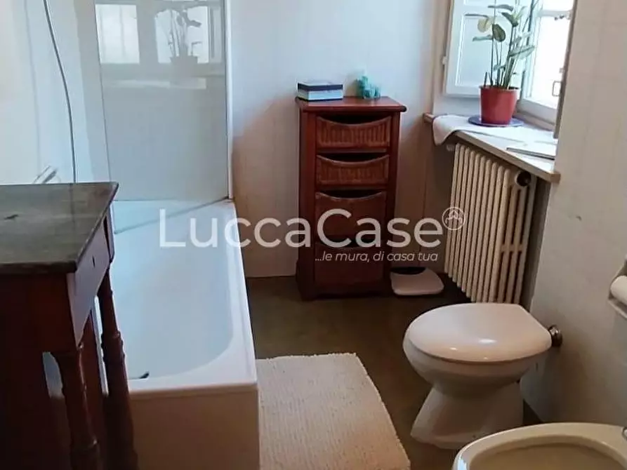 Immagine 10 di Casa colonica in vendita  a Capannori