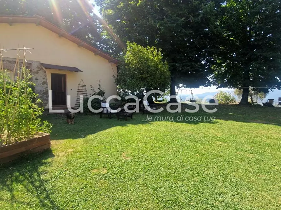 Immagine 36 di Casa colonica in vendita  a Capannori