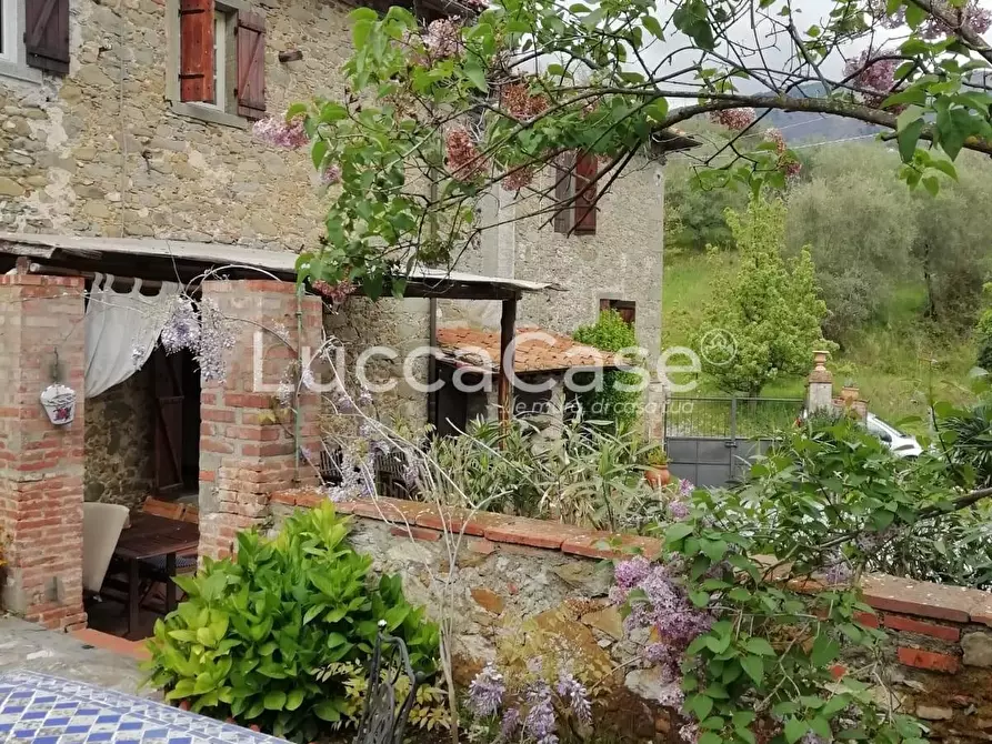 Immagine 17 di Casa colonica in vendita  a Capannori