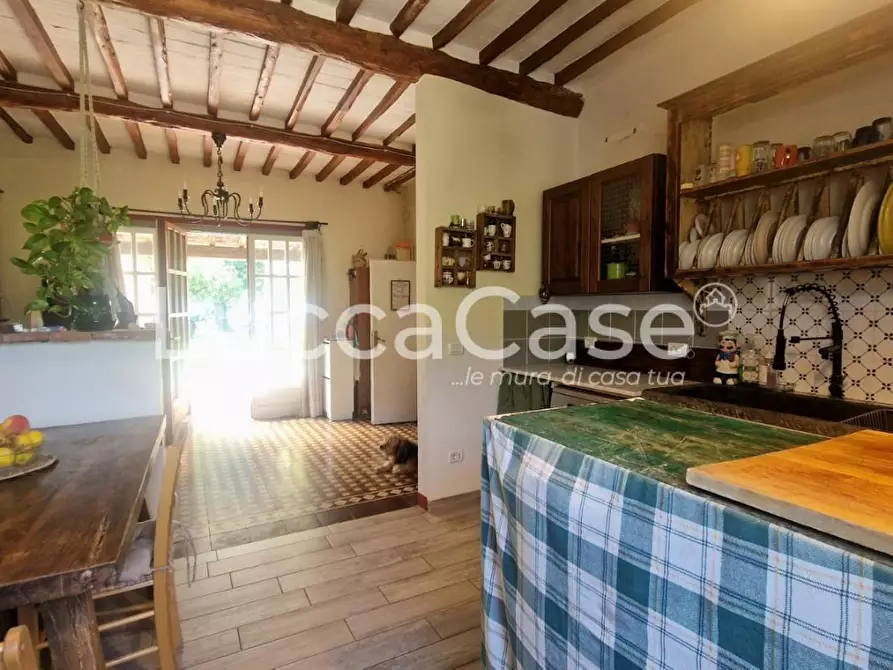 Immagine 7 di Casa colonica in vendita  a Capannori