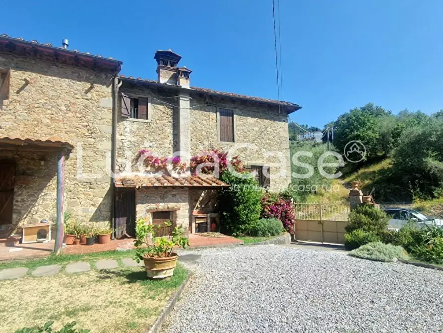 Immagine 41 di Casa colonica in vendita  a Capannori