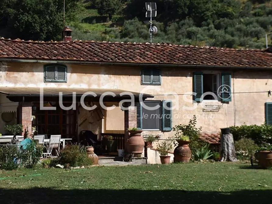 Immagine 14 di Casa colonica in vendita  a Capannori