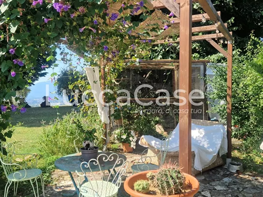 Immagine 45 di Casa colonica in vendita  a Capannori