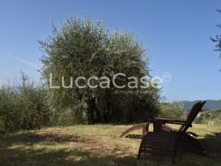 Immagine 21 di Casa colonica in vendita  a Capannori