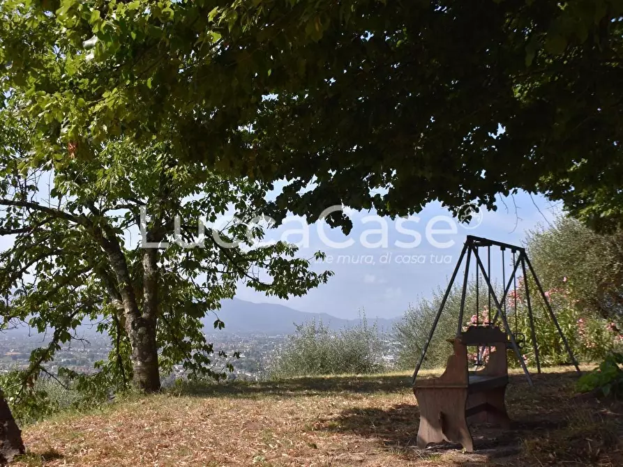 Immagine 13 di Casa colonica in vendita  a Capannori