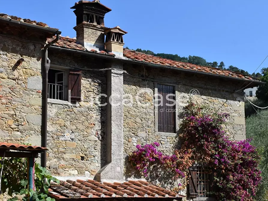 Immagine 3 di Casa colonica in vendita  a Capannori