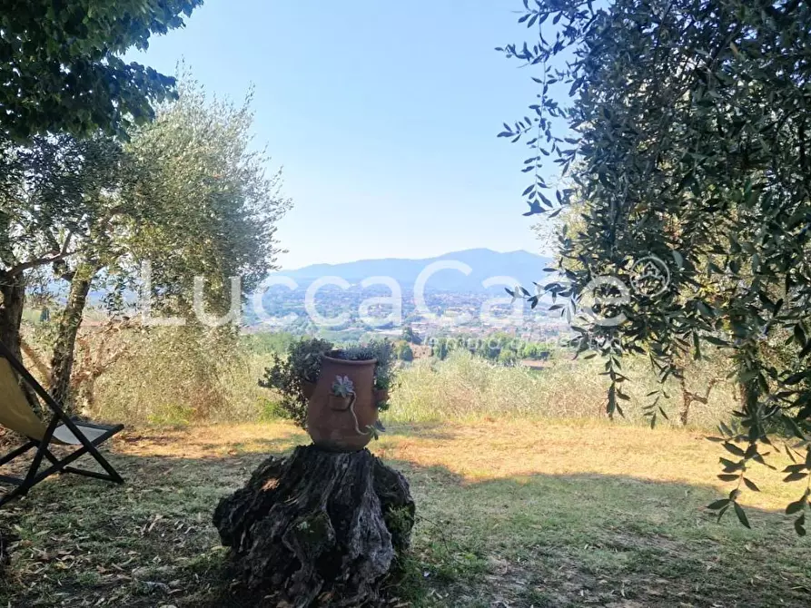 Immagine 40 di Casa colonica in vendita  a Capannori